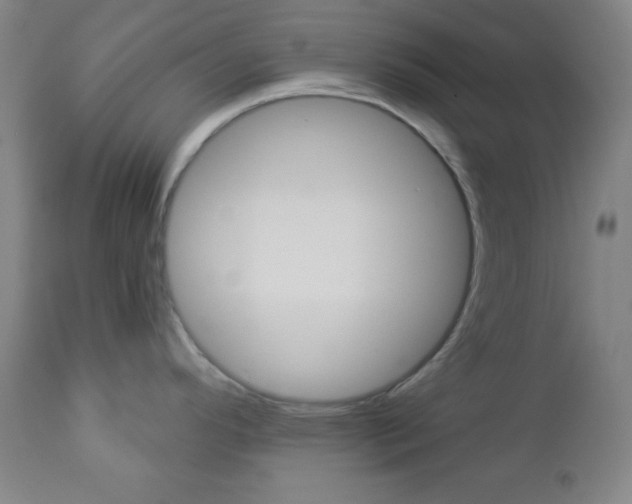 X0000112961296200908270910