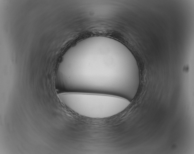 X0000112961297200908270909