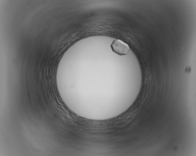 X0000112961298200908270909