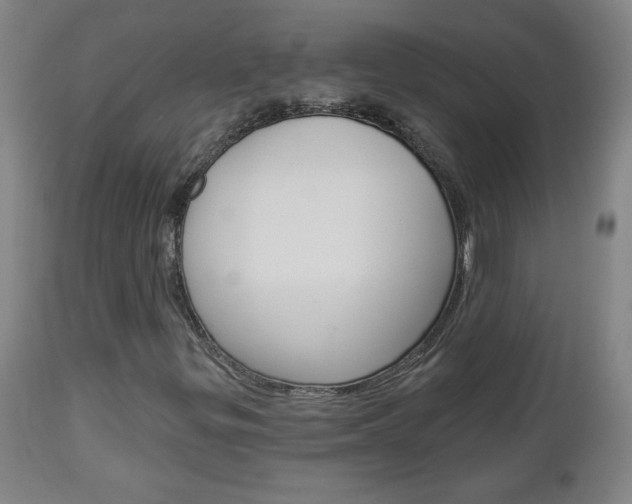 X0000112961299200908270909