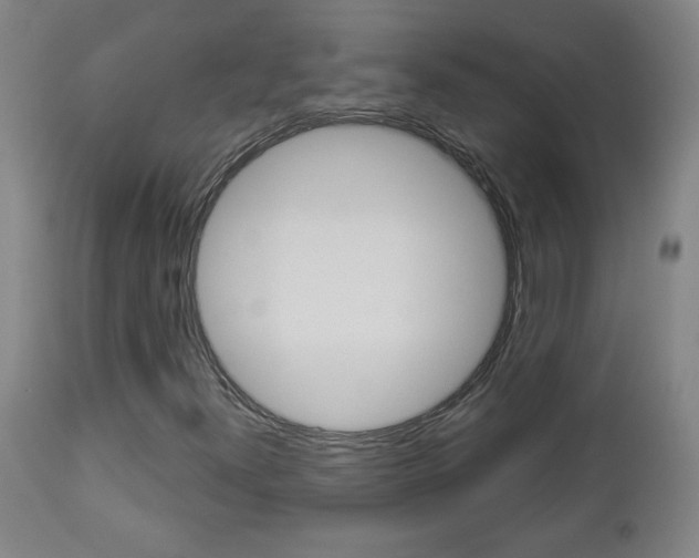 X0000112961300200908270909