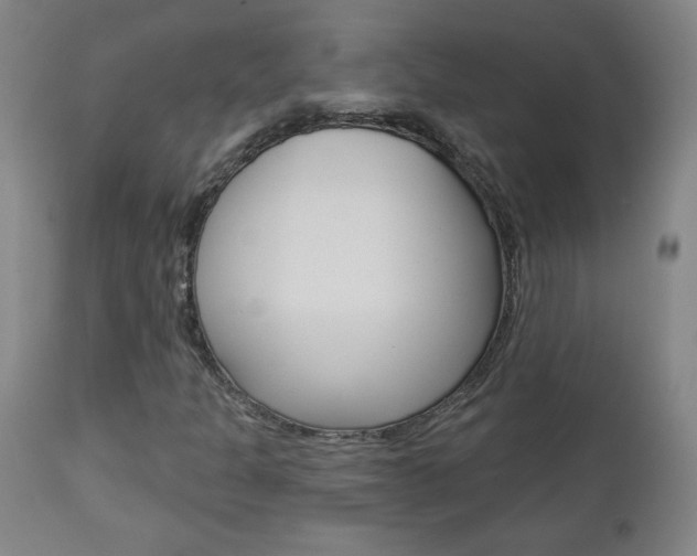 X0000112961301200908270909