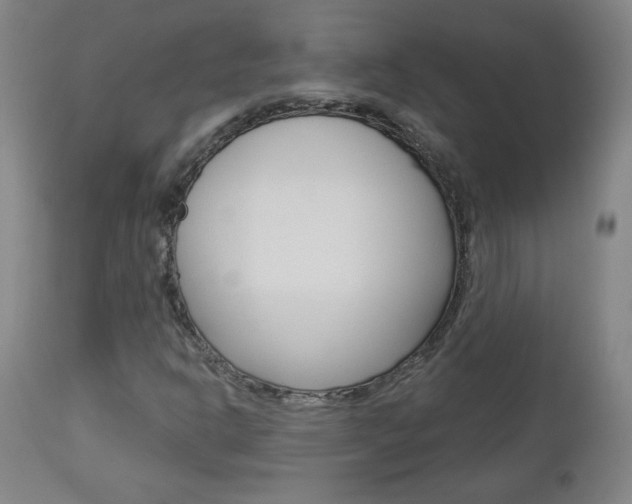 X0000112961302200908270909