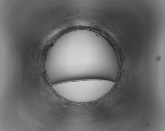 X0000112961303200908270909