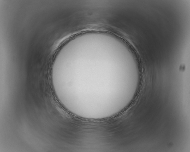 X0000112961304200908270909