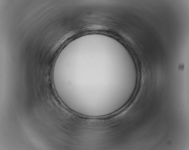 X0000112961305200908270909