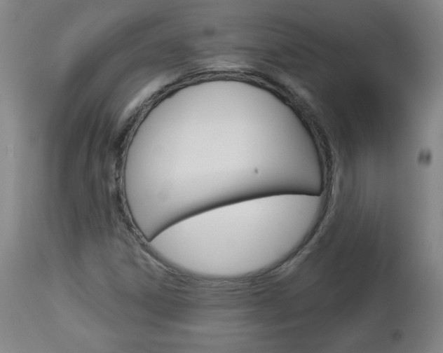 X0000112961306200908270909