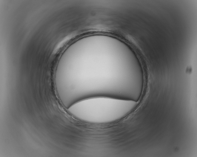 X0000112961307200908270909