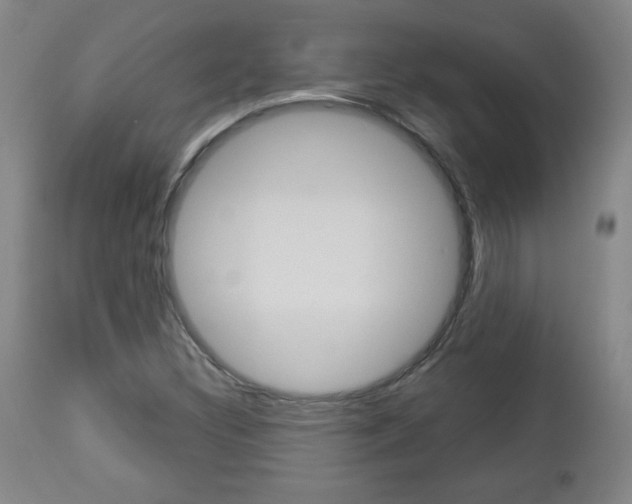 X0000112961308200908270909