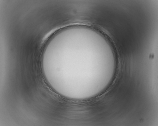 X0000112961310200908270909