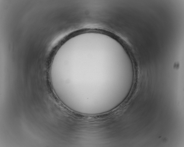 X0000112961311200908270909