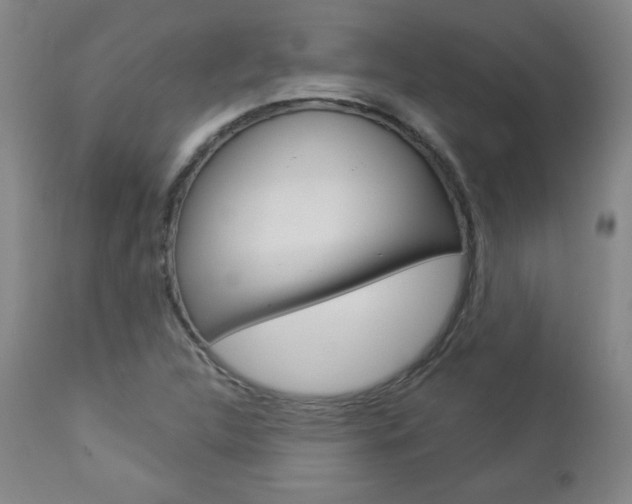 X0000112961312200908270909
