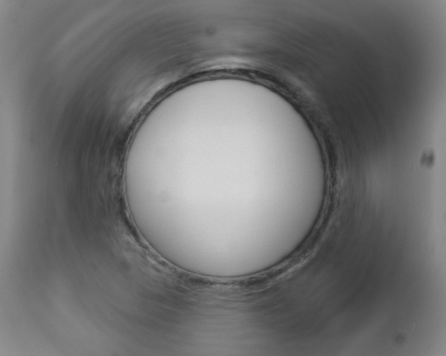 X0000112961313200908270909