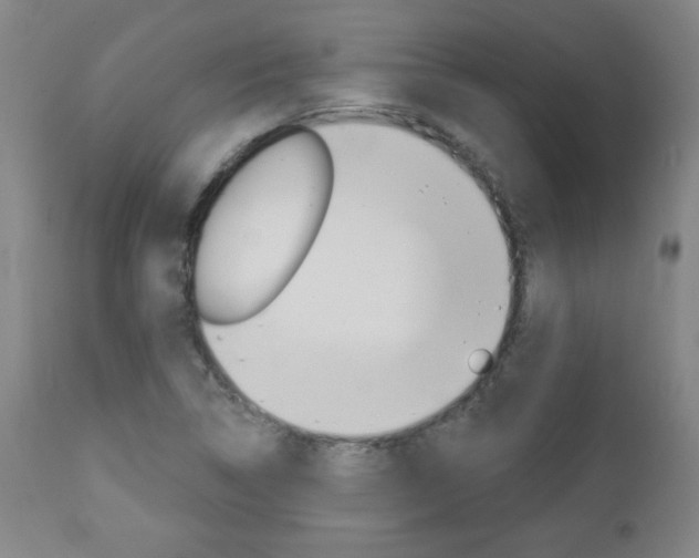 X0000112961314200908270909