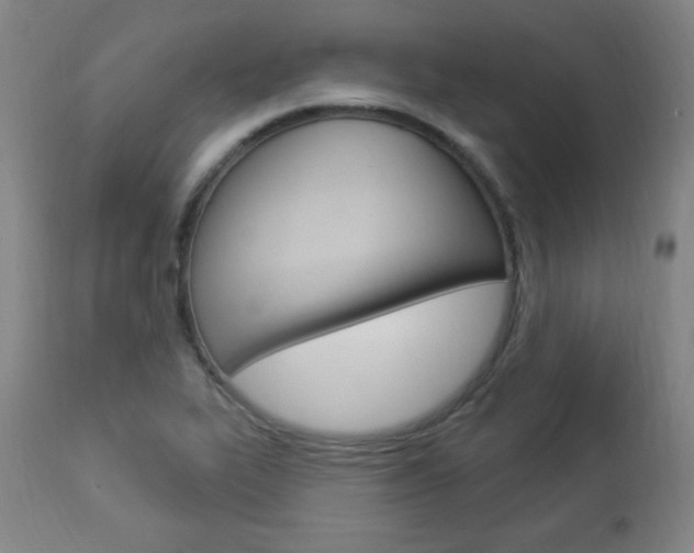 X0000112961319200908270910
