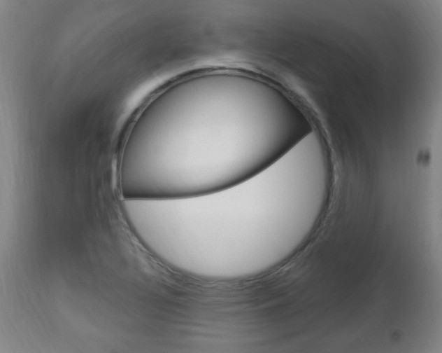 X0000112961320200908270910