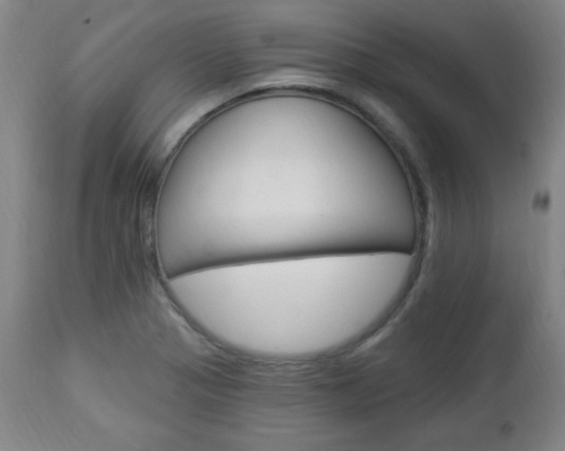 X0000112961321200908270910