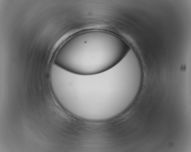 X0000112961324200908270910