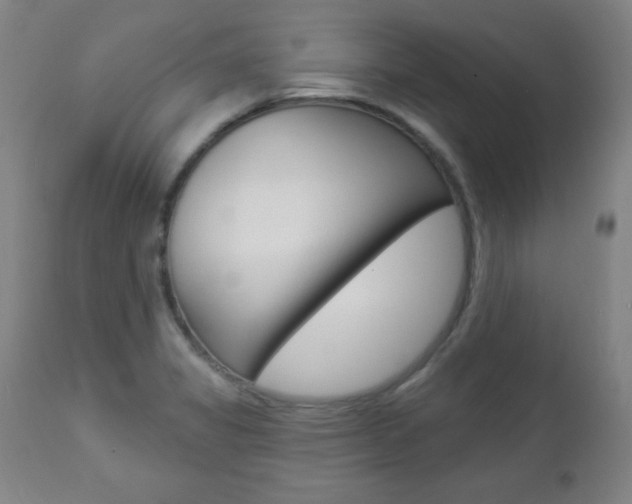 X0000112961325200908270910