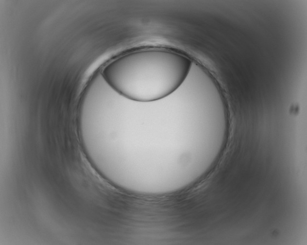 X0000112961326200908270910