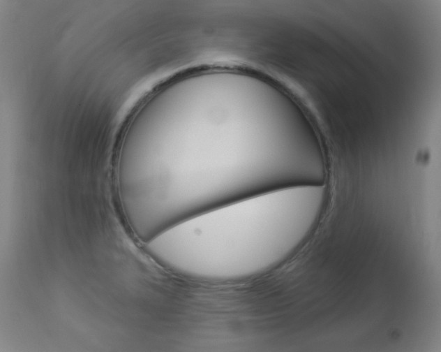 X0000112961327200908270910