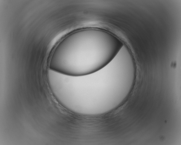 X0000112961328200908270910