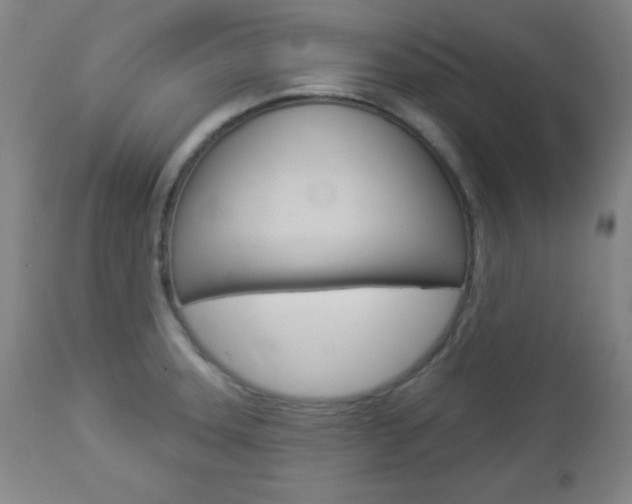 X0000112961331200908270910