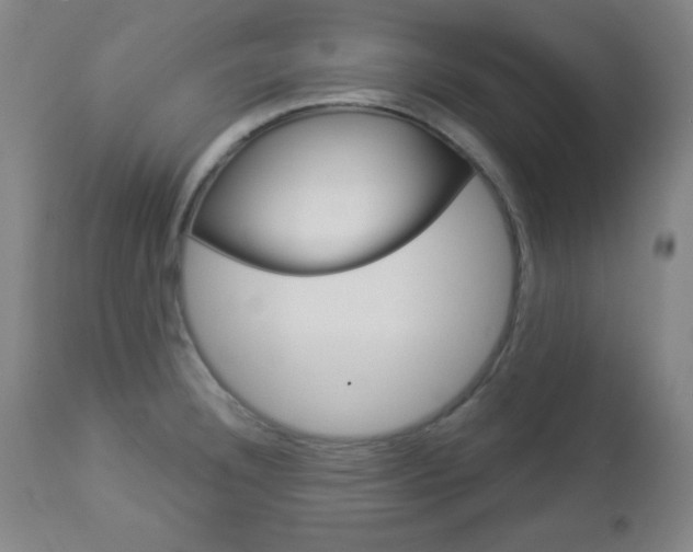 X0000112961332200908270910