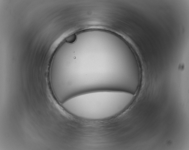 X0000112961333200908270910
