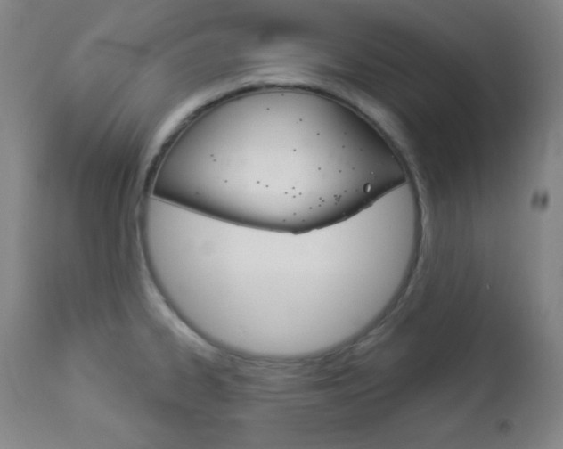 X0000112961334200908270910