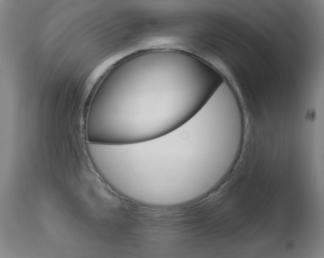 X0000112961336200908270910