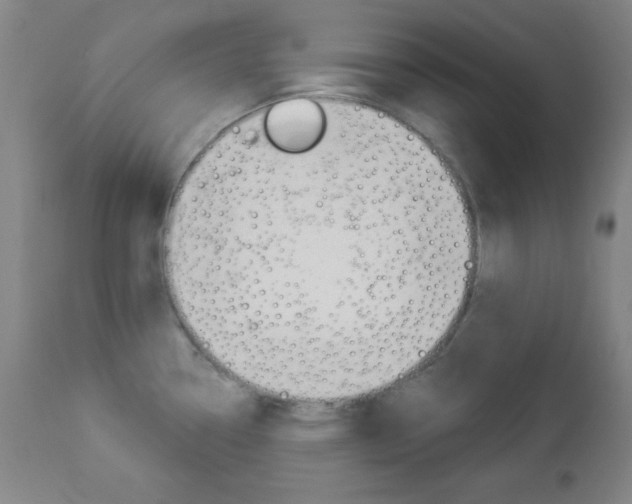 X0000112961338200908270910