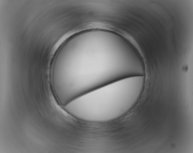 X0000112961339200908270910