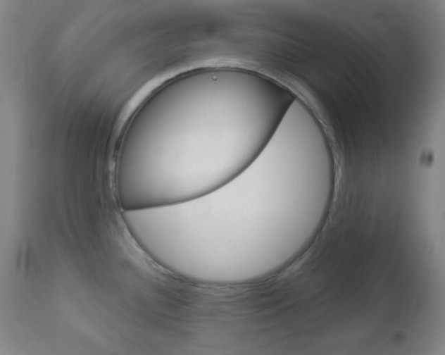 X0000112961340200908270910