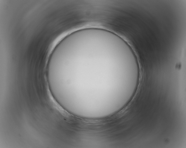 X0000112961342200908270910
