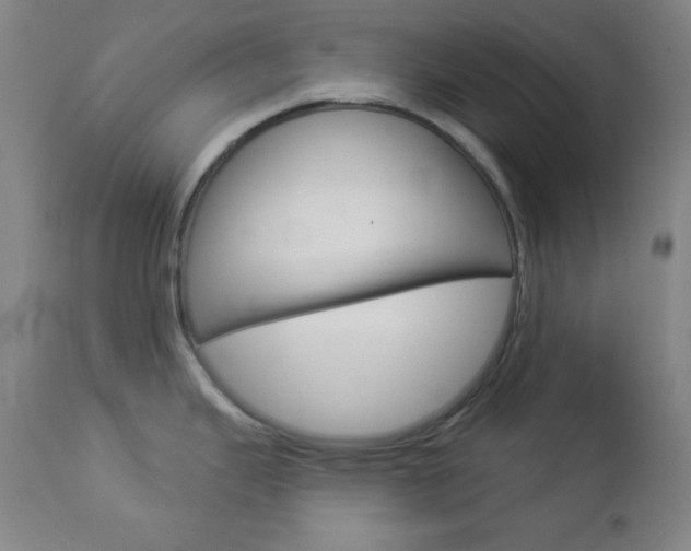 X0000112961343200908270910