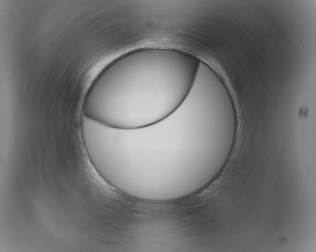 X0000112961344200908270910