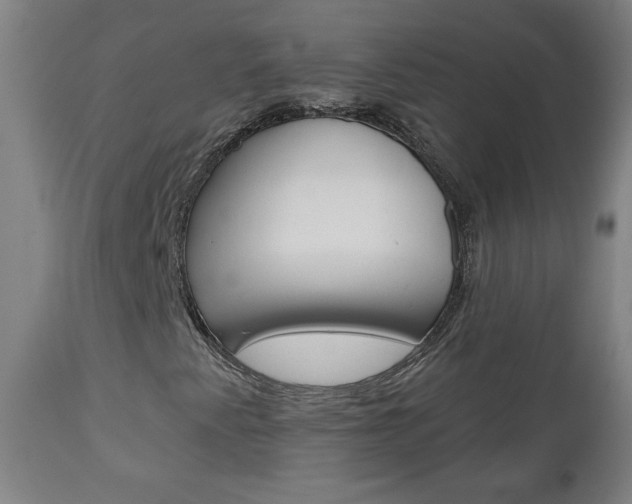 X0000112961345200908270909