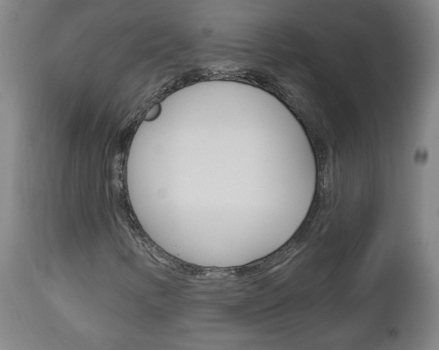 X0000112961346200908270909