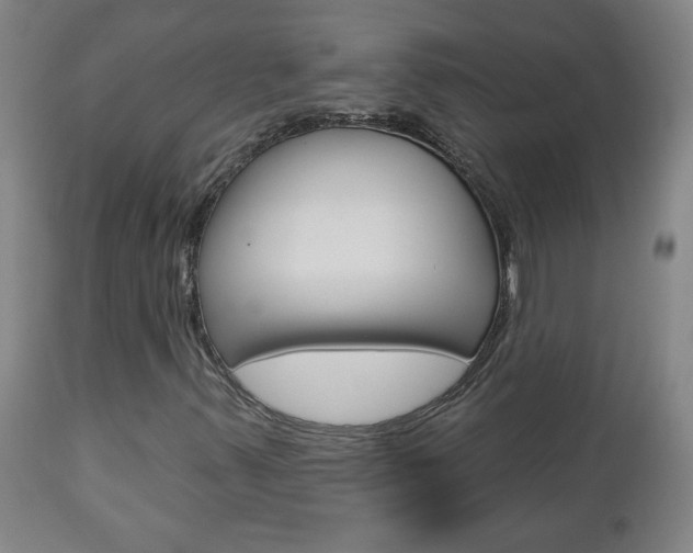 X0000112961347200908270909