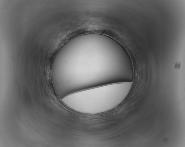 X0000112961348200908270909