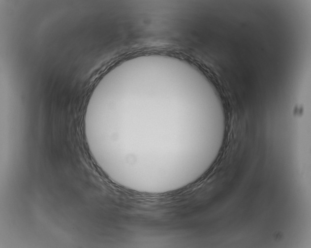X0000112961349200908270909