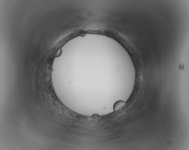 X0000112961350200908270909