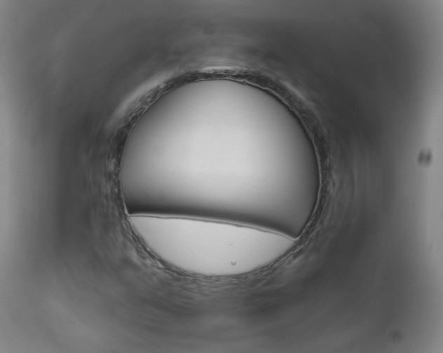 X0000112961351200908270909