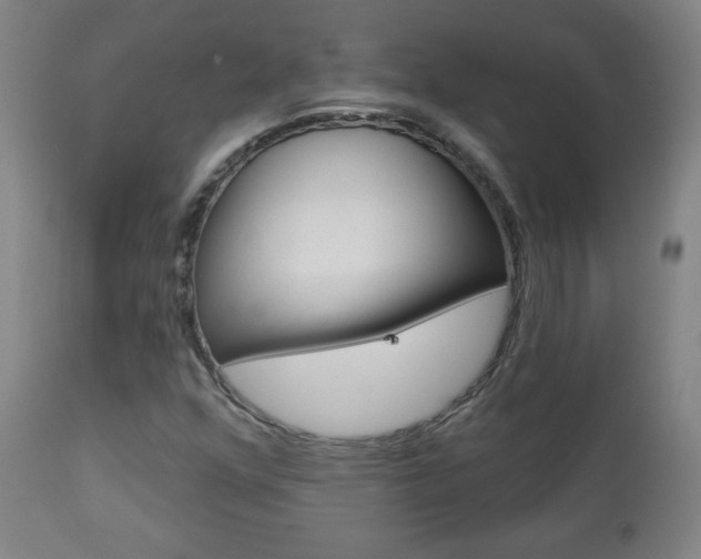 X0000112961352200908270909