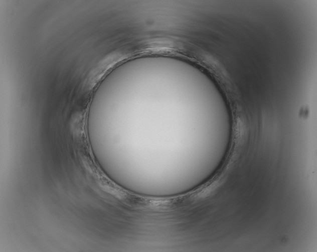 X0000112961353200908270909