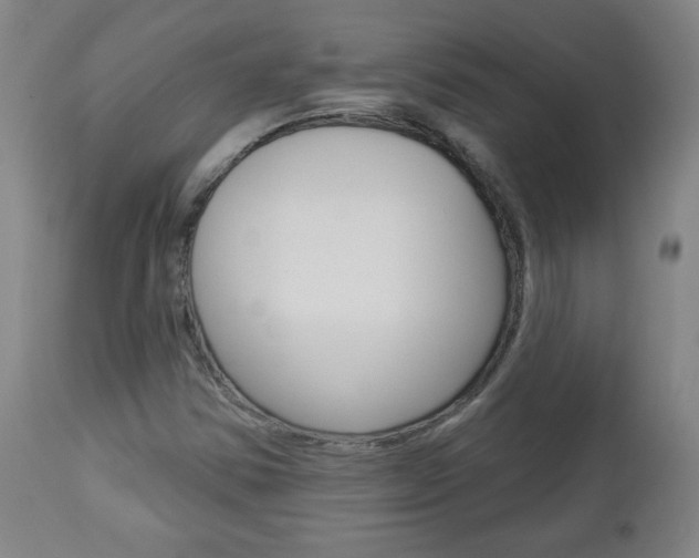X0000112961354200908270909