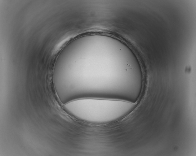 X0000112961355200908270909