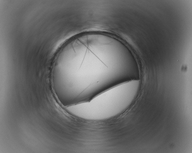 X0000112961356200908270909