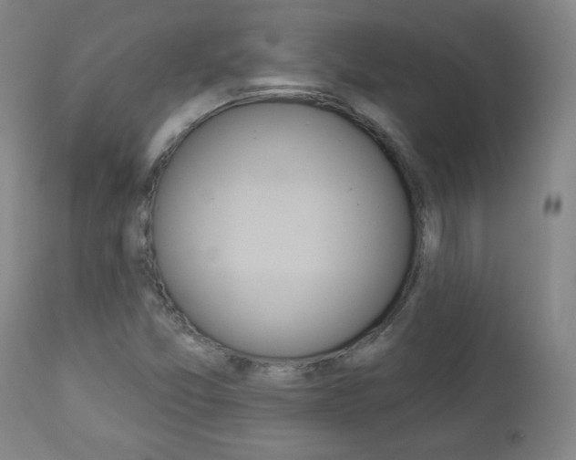 X0000112961357200908270909
